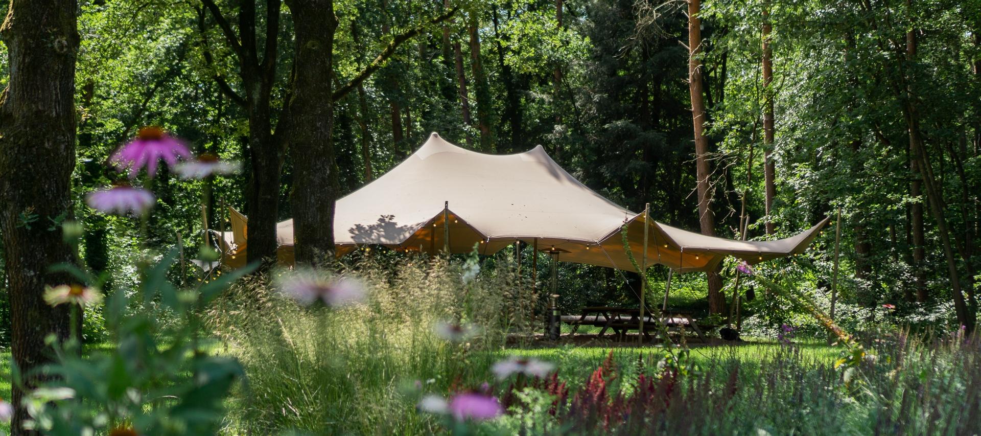 Voormalig Klooster in de Natuur  3