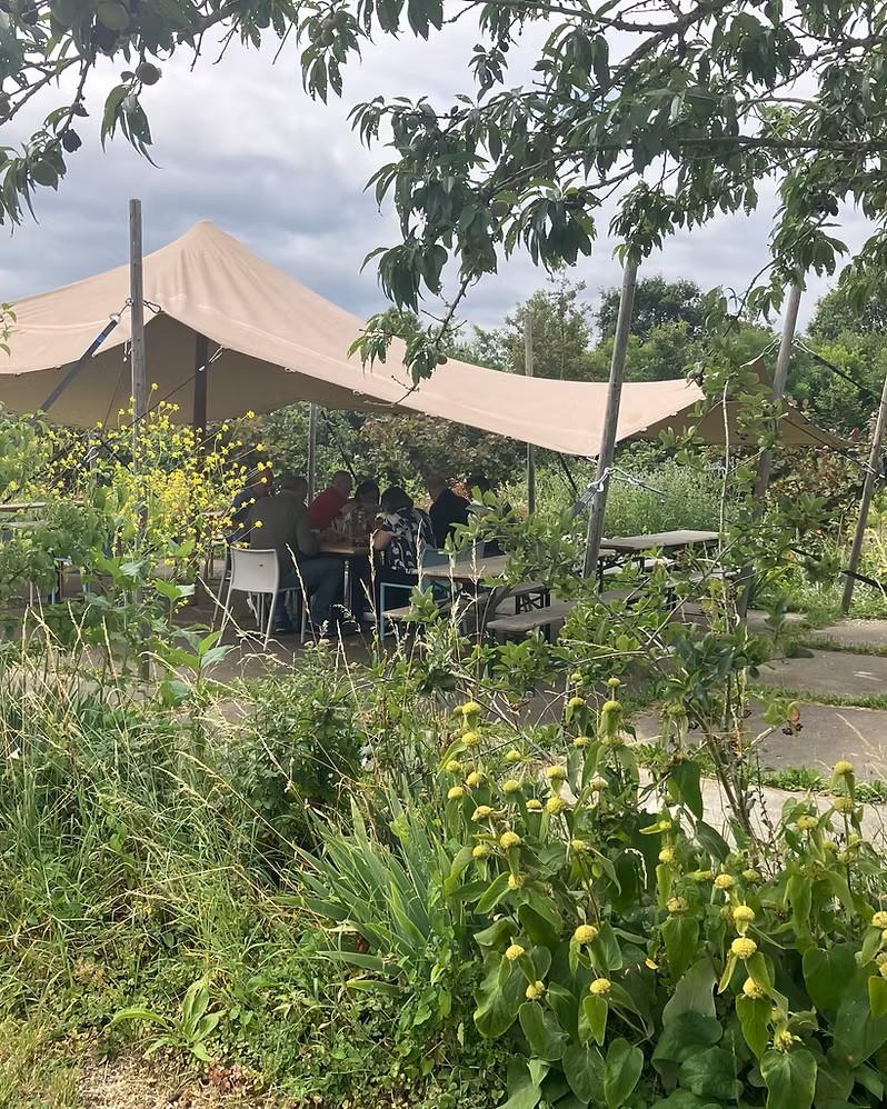 Kleinschalige Duurzame Locatie in Voedselbos 2