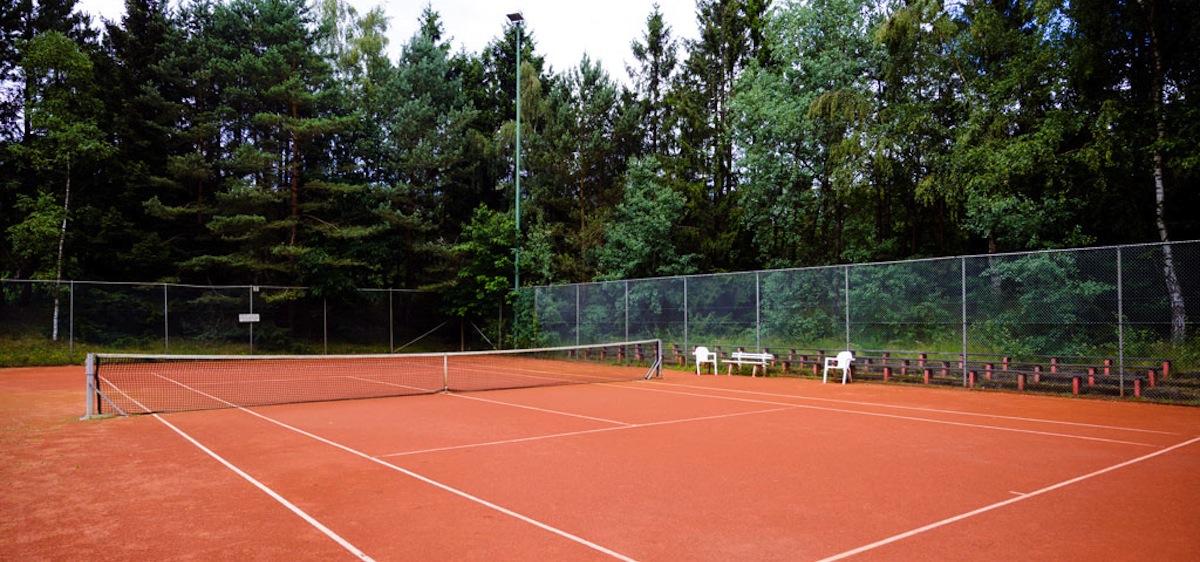 Prachtig Landgoed omringd door de Veluwse Bossen 3