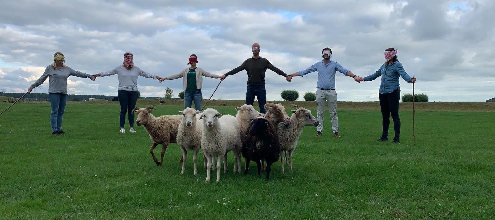 Landelijke Spot aan de Rand van Amsterdam 3