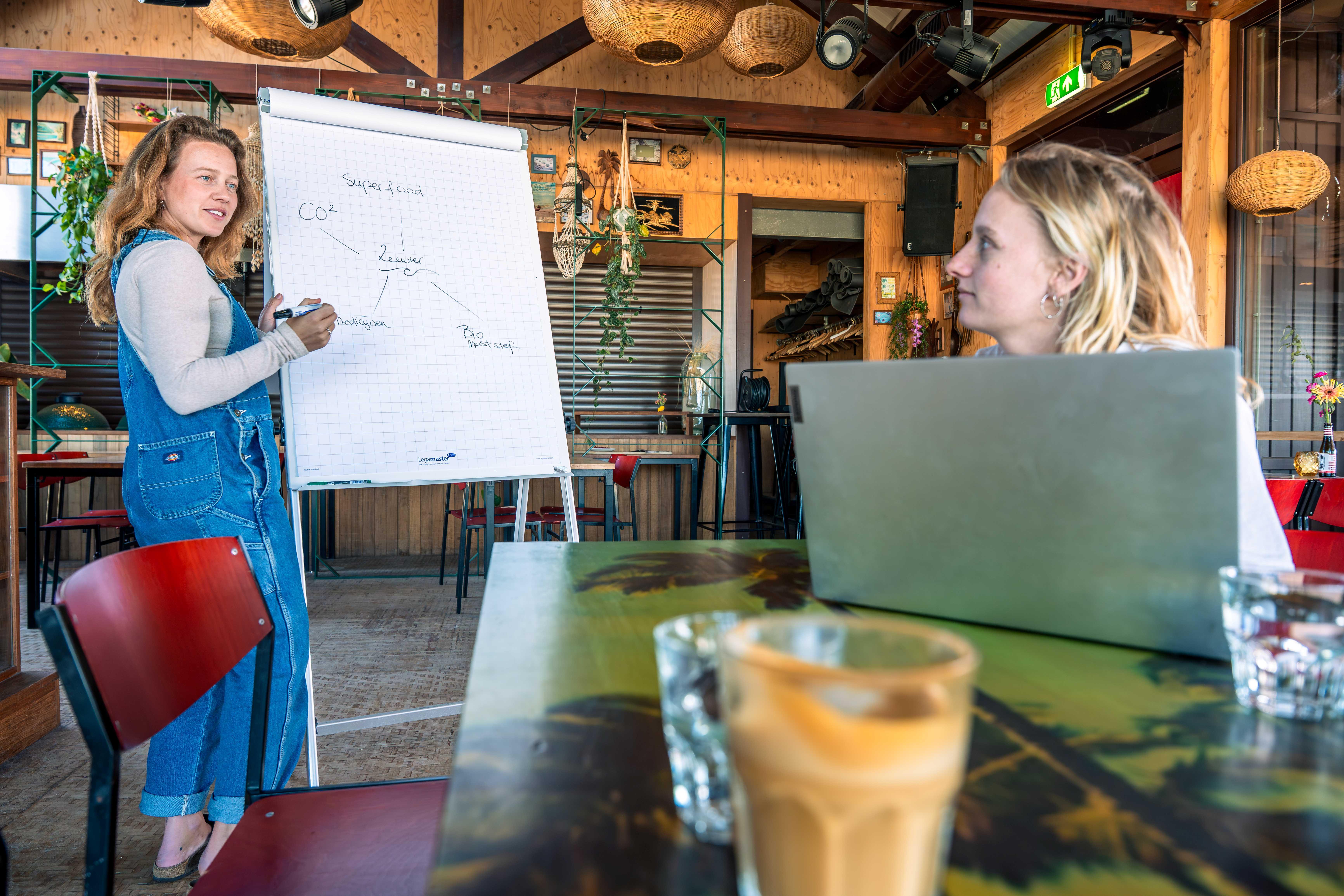 Eventlocatie aan zee met een relaxte surfvibe 3